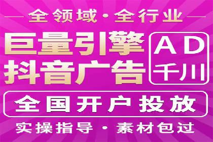 百度竞价广告的投放策略与成功案例分析